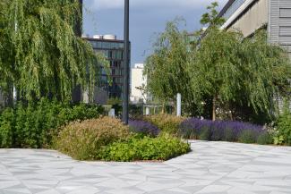 The granite surface is laid in a Harlequin pattern, creating the contours for the lush greenery in the plant beds. Pathways and plant beds with lush vegetation